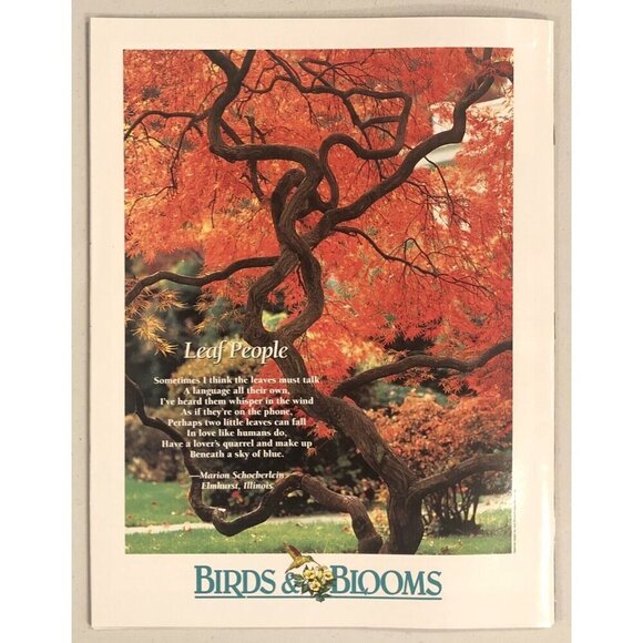 BIRDS & BLOOMS Magazine October/November 2005 Issue Autumn Gardens EUC - Picture 7 of 7